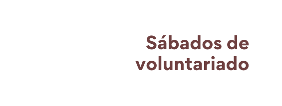 Sábados de voluntariado